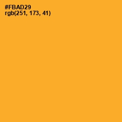 #FBAD29 - Sea Buckthorn Color Image