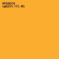 #FBAD30 - Sea Buckthorn Color Image