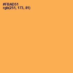 #FBAD51 - Texas Rose Color Image