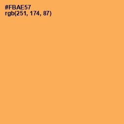#FBAE57 - Texas Rose Color Image