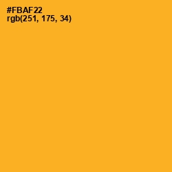 #FBAF22 - Sea Buckthorn Color Image