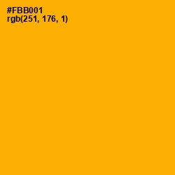 #FBB001 - Selective Yellow Color Image