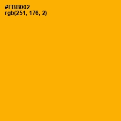 #FBB002 - Selective Yellow Color Image