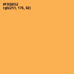#FBB052 - Texas Rose Color Image