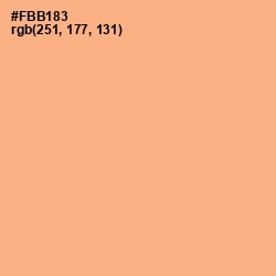 #FBB183 - Hit Pink Color Image