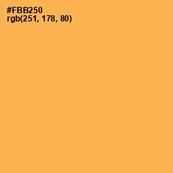 #FBB250 - Texas Rose Color Image