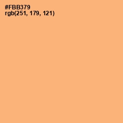 #FBB379 - Macaroni and Cheese Color Image