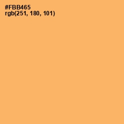 #FBB465 - Rajah Color Image
