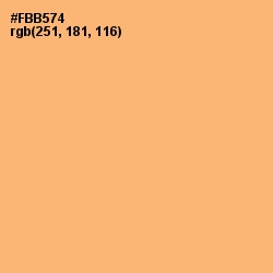 #FBB574 - Macaroni and Cheese Color Image