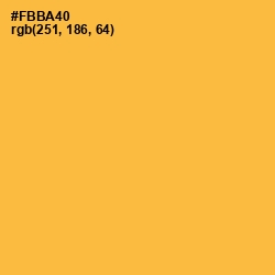 #FBBA40 - Yellow Orange Color Image