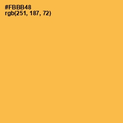 #FBBB48 - Casablanca Color Image