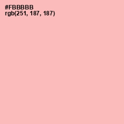 #FBBBBB - Sundown Color Image