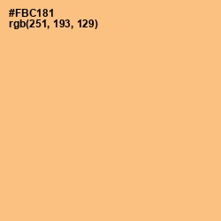 #FBC181 - Chardonnay Color Image