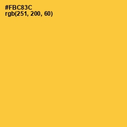 #FBC83C - Sunglow Color Image