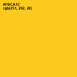 #FBCA1C - Lightning Yellow Color Image