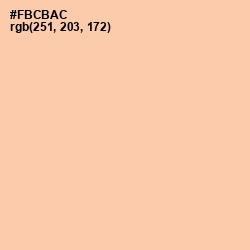 #FBCBAC - Flesh Color Image