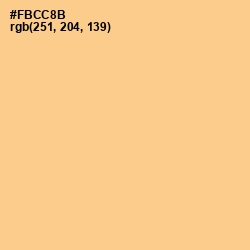 #FBCC8B - Chardonnay Color Image