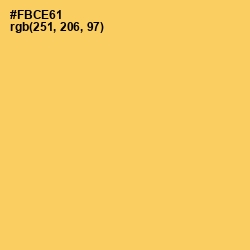 #FBCE61 - Goldenrod Color Image