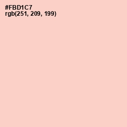 #FBD1C7 - Tuft Bush Color Image