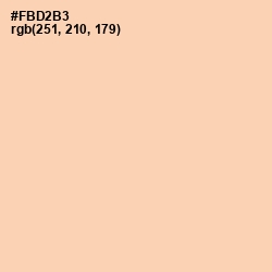 #FBD2B3 - Light Apricot Color Image