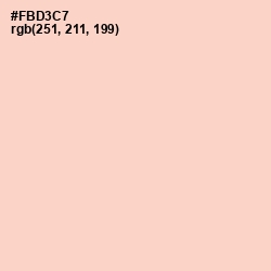 #FBD3C7 - Tuft Bush Color Image