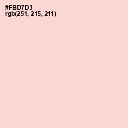 #FBD7D3 - Peach Schnapps Color Image