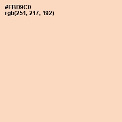 #FBD9C0 - Tuft Bush Color Image