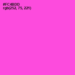 #FC4BDD - Pink Flamingo Color Image