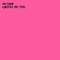 #FC599F - French Rose Color Image