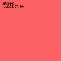 #FC6163 - Sunglo Color Image