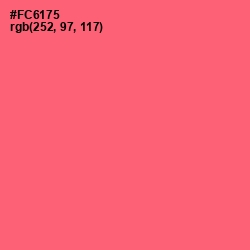 #FC6175 - Brink Pink Color Image