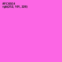 #FC65E4 - Pink Flamingo Color Image