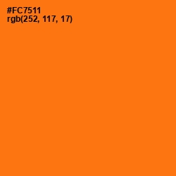 #FC7511 - Ecstasy Color Image