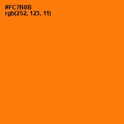 #FC7B0B - Sorbus Color Image