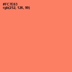 #FC7E63 - Sunglo Color Image
