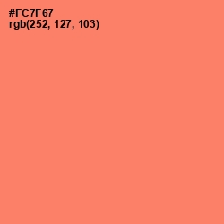 #FC7F67 - Sunglo Color Image