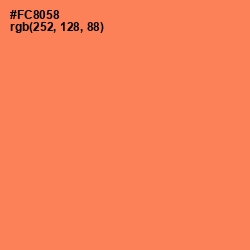 #FC8058 - Tan Hide Color Image