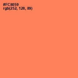 #FC8059 - Tan Hide Color Image