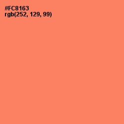 #FC8163 - Salmon Color Image