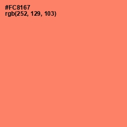 #FC8167 - Salmon Color Image