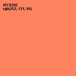 #FC835E - Tan Hide Color Image