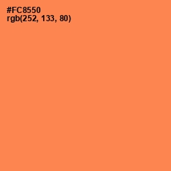 #FC8550 - Tan Hide Color Image