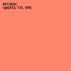 #FC856C - Salmon Color Image