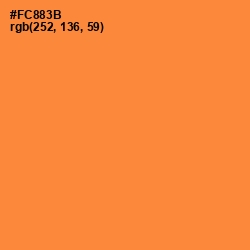 #FC883B - Jaffa Color Image