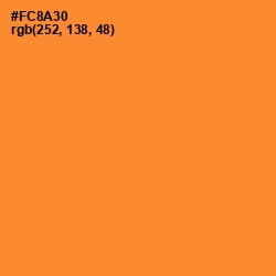 #FC8A30 - Neon Carrot Color Image