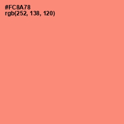 #FC8A78 - Salmon Color Image