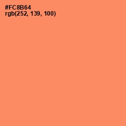 #FC8B64 - Salmon Color Image