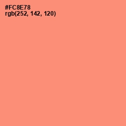 #FC8E78 - Salmon Color Image