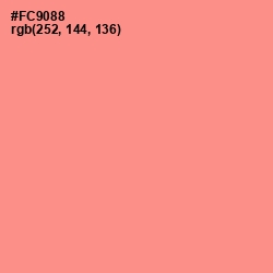 #FC9088 - Vivid Tangerine Color Image