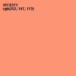 #FC9371 - Salmon Color Image
